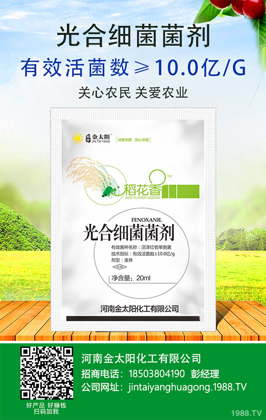 ����������ԭ�����������������k����