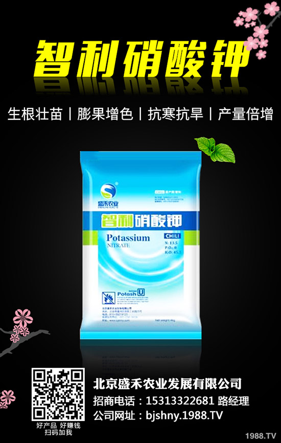 �ڶ�ʲô�r(sh��)��Nֲ���ڶ��ķNֲҪ�c(di��n)����Щ��