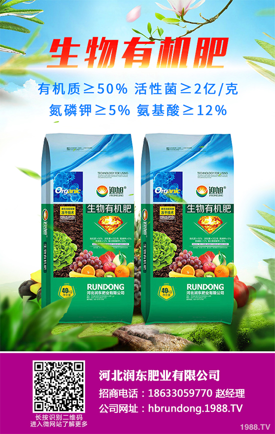 ��ζ��ԓ��ô��������ζ������Щ��̎����������ɣ�