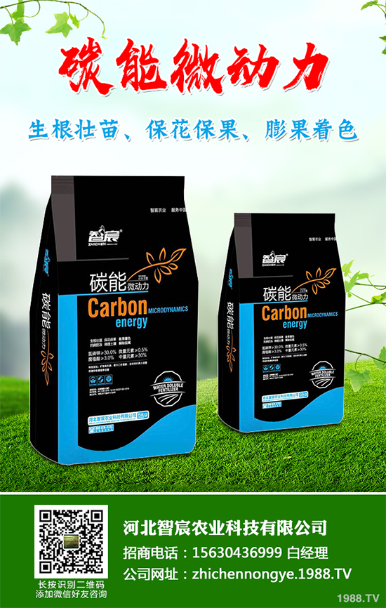 冬季大棚蔬菜種植該注意什么？切記別進這六大誤區(qū)