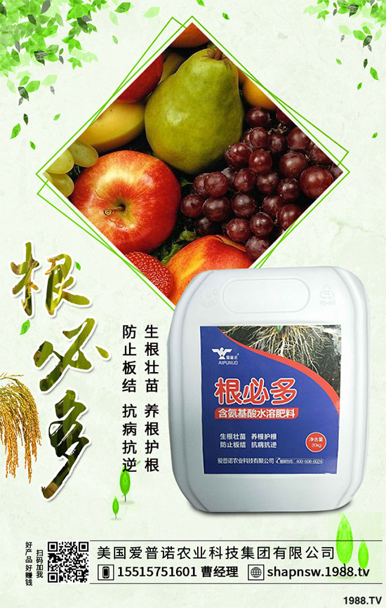 茄子怎么管理才能高產(chǎn)?茄子高產(chǎn)七大管理措施