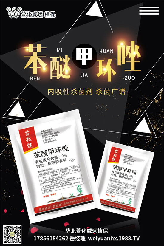     â���������r(ji��)��