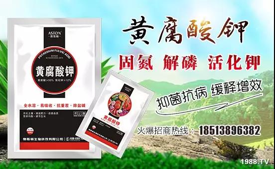 �VԴ�S����⛡�����Ʒ����1����=8���ЙC(j��)�����½�Դ�^ֱ�l(f��)������