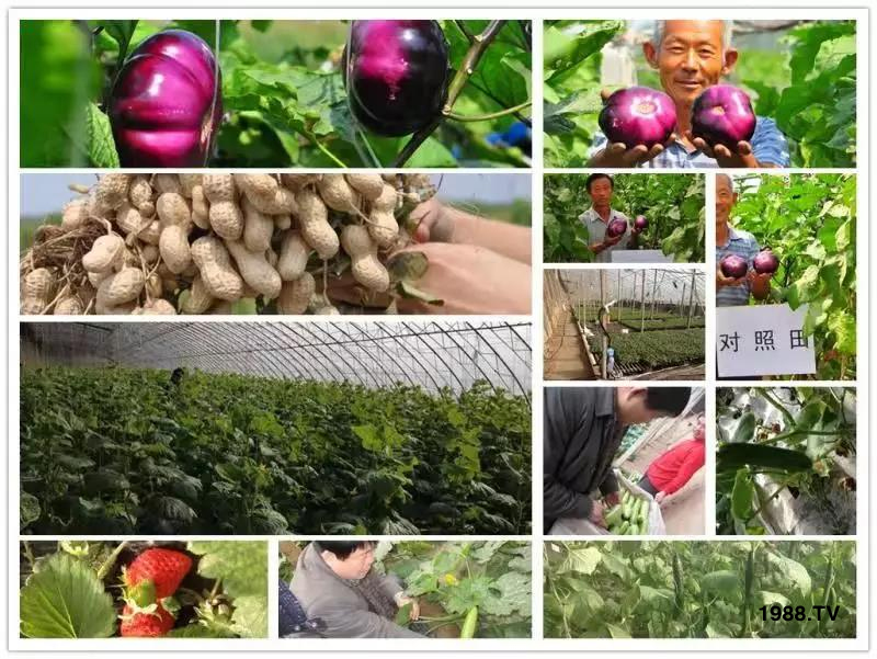 �VԴ�S����⛡�����Ʒ�ʣ�1����=8���ЙC(j��)�����½�Դ�^ֱ�l(f��)������