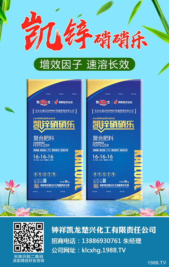 什么是有機(jī)大白菜,有機(jī)大白菜種植要點(diǎn)有哪些?