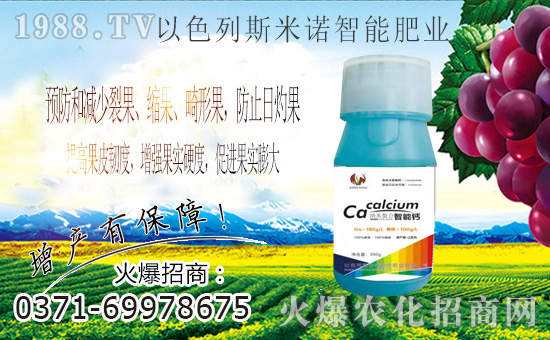 ��ɫ��˹���Z�ɹ����v�r(n��ng)���W(w��ng)���M܊�W(w��ng)�j(lu��)�������I(l��ng)����