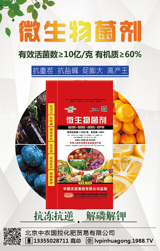 �������r(n��ng)�ٶȔy��1988.TV���y���ل�(chu��ng)���x����