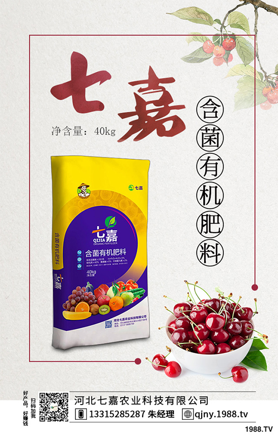 11�·��r(n��ng)�°�������Щ��2019�ﶬ�߲˷Nֲָ��