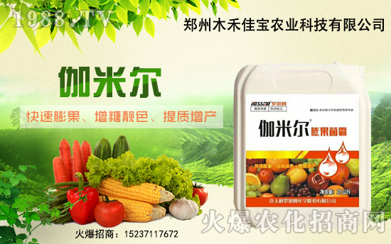 ����ľ�̼ь��׺�1988.TV���_���W(w��ng)�j(lu��)������ģʽ��