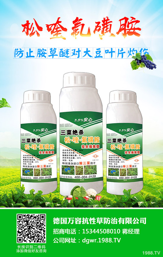 黃豆什么時間種植，黃豆的種植方法有哪些？