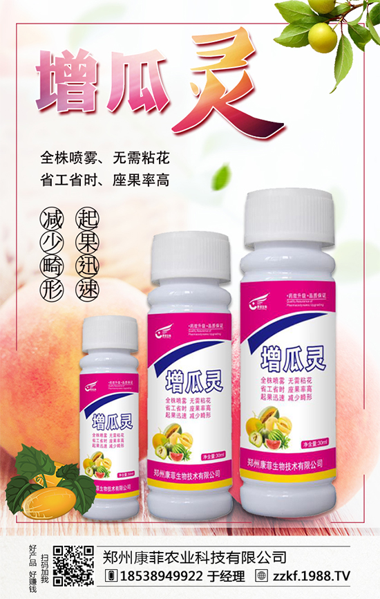 �����Ϲ���ô�Nֲ�������ϹϵķNֲ��Ҫ�c(di��n)��