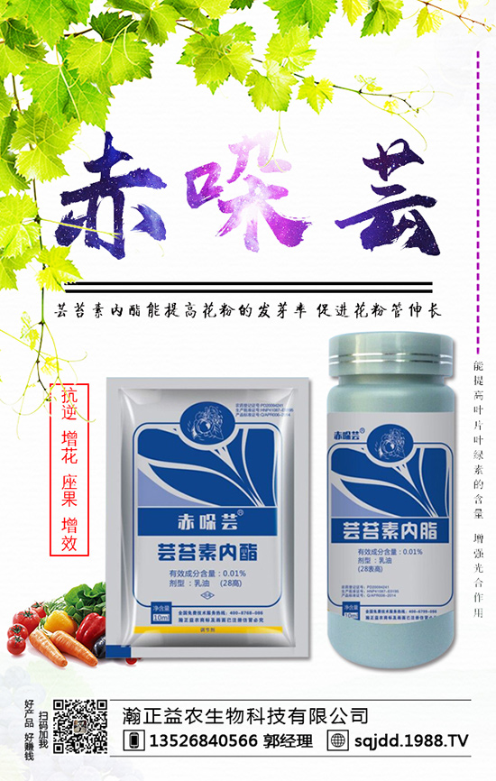 西紅柿為什么不膨果?西紅柿不膨果的防治方法