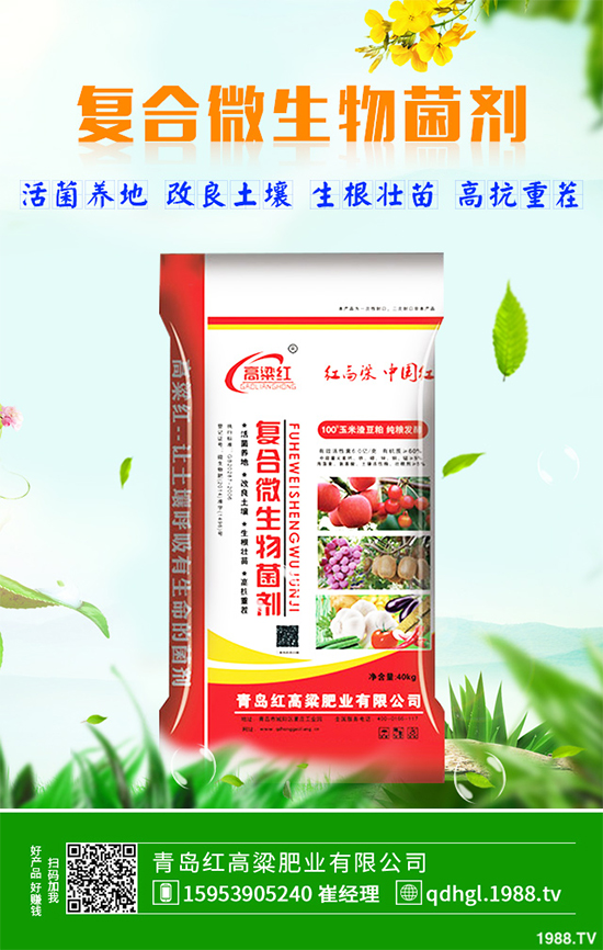 哪些地方適合種植白皮松？白皮松栽培技術(shù)管理