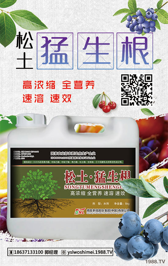 ��������Щ��Ч�����������ӵ�ʳ�ý�����