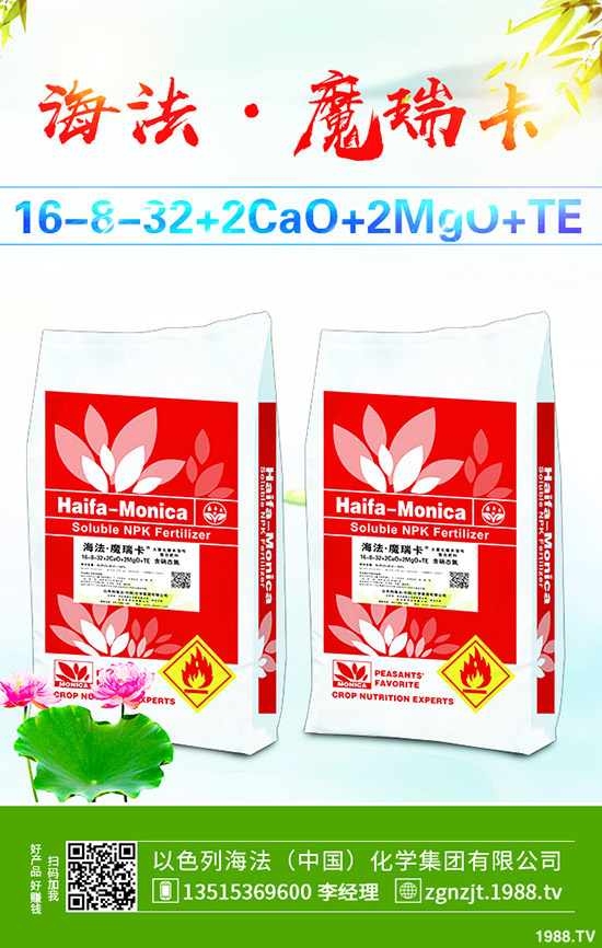     ����������D(zhu��n)��2019��11��27�ո��؅^(q��)�����������S��r