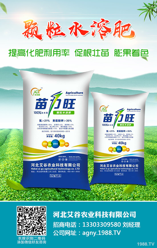 2019-11-30�������¶��@�r(ji��)���Ո�(b��o)��������@��I(y��)���S�����r(ji��)һ�[��