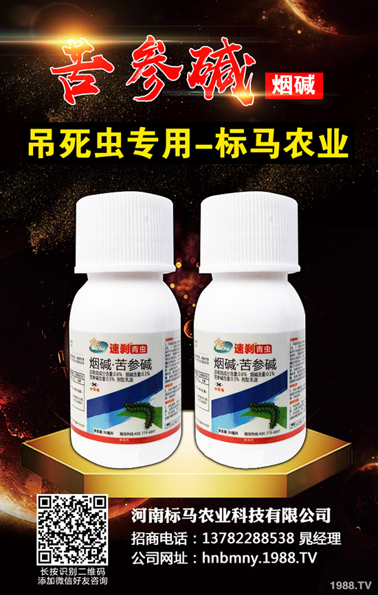 ����(n��i)���x���r���Ј������܈�2019.11.30