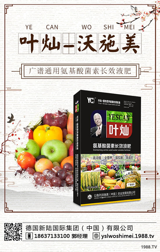 生菜栽培季節(jié)是什么時候?生菜高產(chǎn)技術(shù)有哪些?