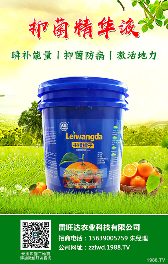 長期低溫寡照，蔬菜長勢(shì)差該如何解決？冬季大棚補(bǔ)光的幾項(xiàng)措施