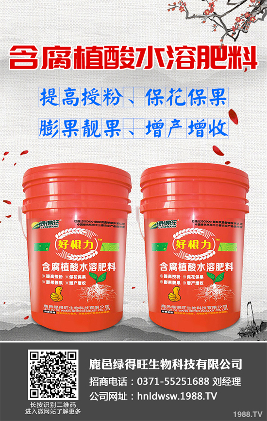 大棚蔬菜沖施肥需要注意什么？冬季大棚蔬菜施肥技術(shù)