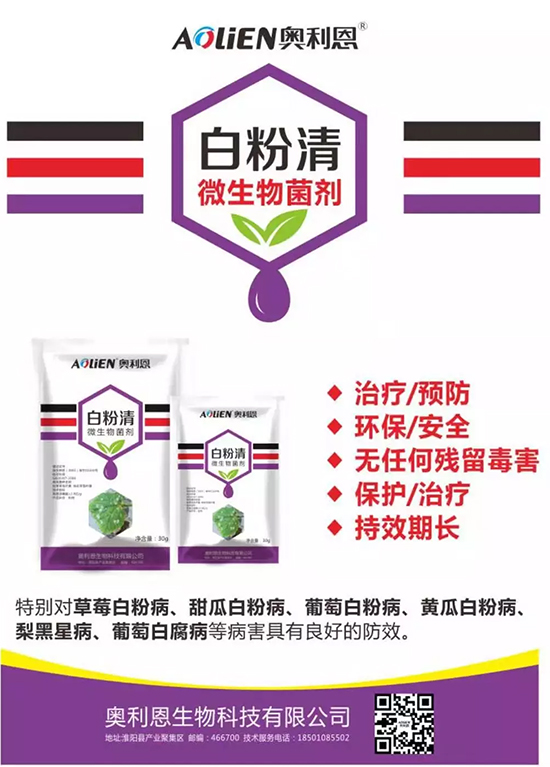 �׷۲�������(f��)�y�p���� ӛס�@��(g��)ˎ����Ч���ΰ׷۲����P����