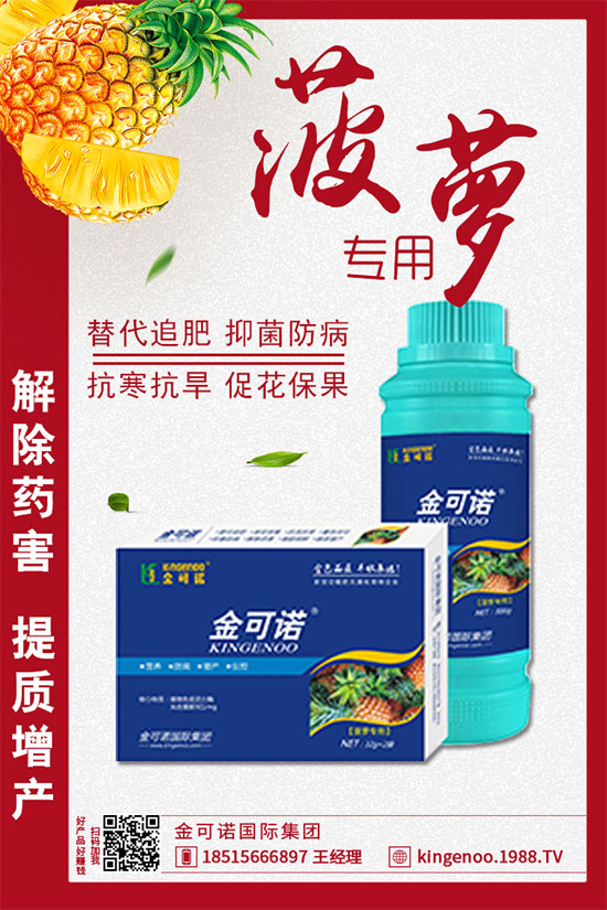 ��(zh��n)�Ժ���������������Z���H���F(tu��n)�ٺ�1988.TV���y�ֹ���(chu��ng)��(zh��n)����