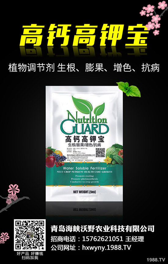 С�����s��ʲô�r����θ�����С���s�ݽ�Q������