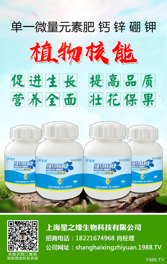 ѿ�����ӷNֲ��ѿ�˷Nֲ���g(sh��)���˽������