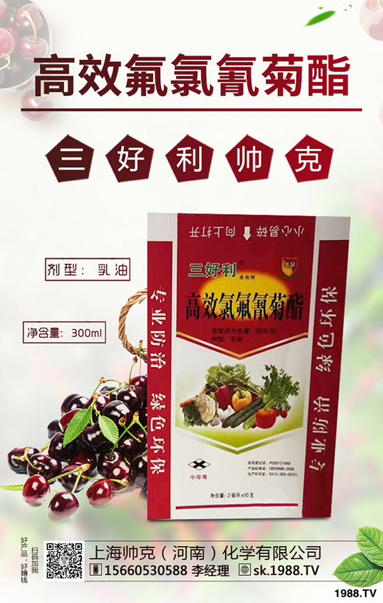 蒜黃一般是什么時(shí)間播種,蒜黃的種植技巧有哪些?