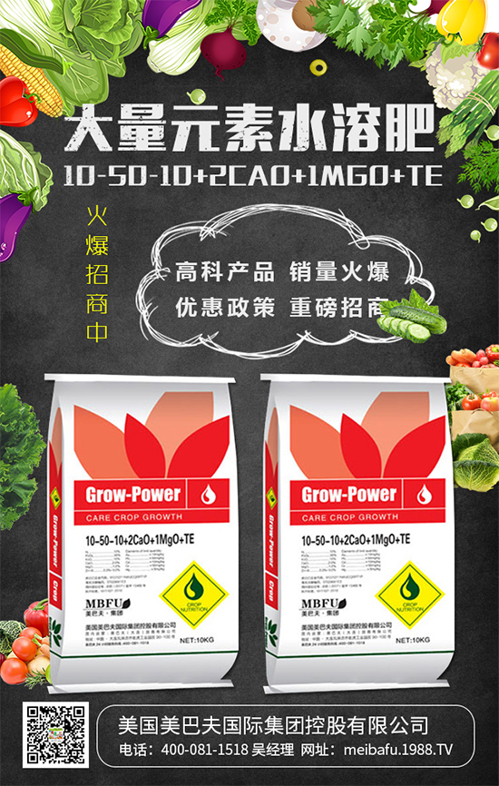 2020年種植什么蔬菜掙錢嗎？2020年種植什么蔬菜前景好？