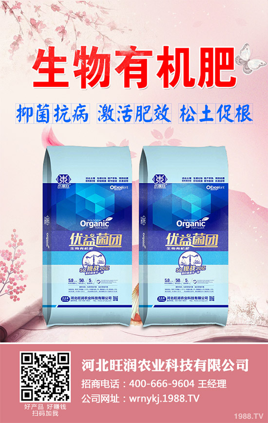 大棚韭菜該怎么種？冬季大棚韭菜種植技術(shù)要點(diǎn)