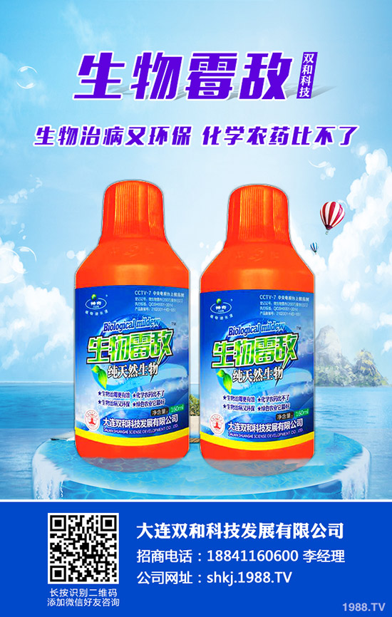 平菇種植其實不難,注意這幾點,產(chǎn)量會很高!