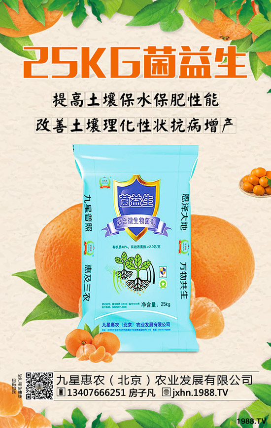 ���Ә���ô�Nֲ�����Ә�������g(sh��)��