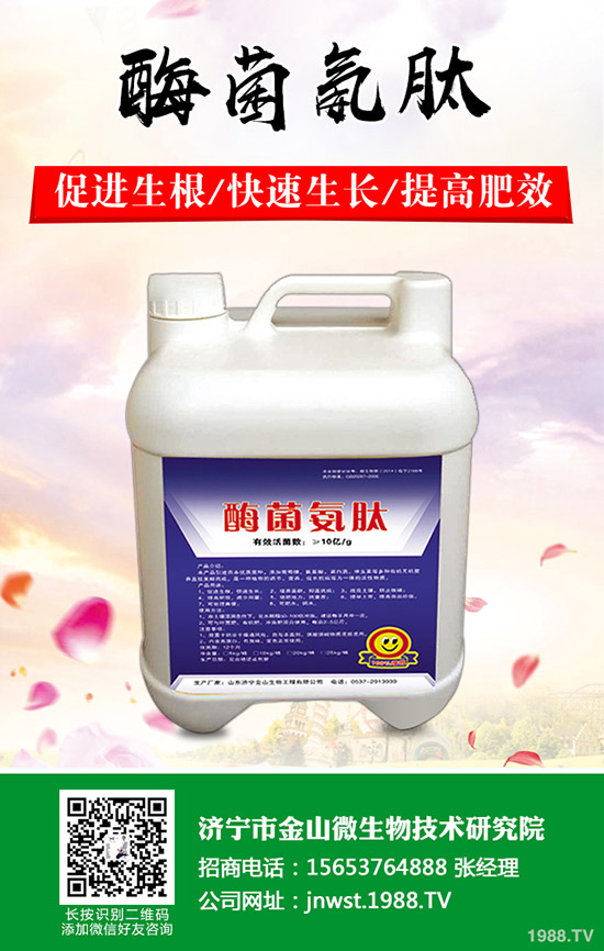 ���Ә���ô�޼������Ә���޼���������Щ����