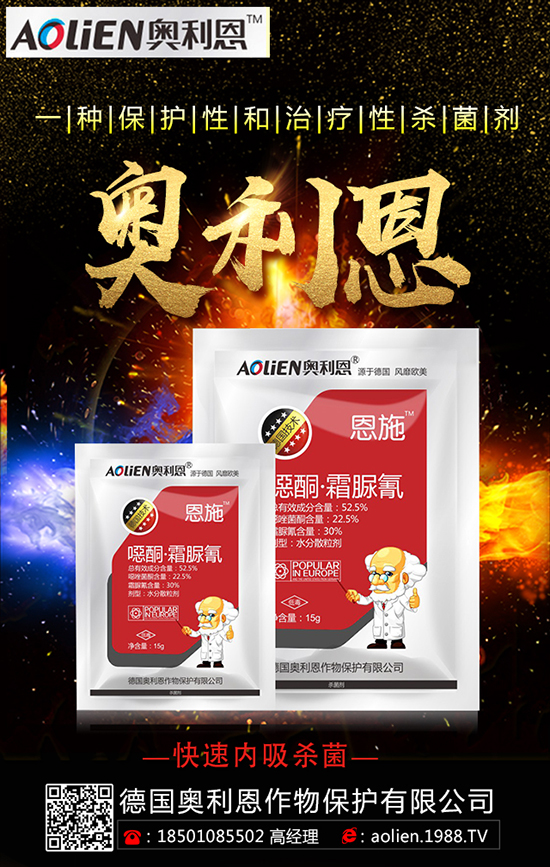 柑橘斷根時間 柑橘斷根方法