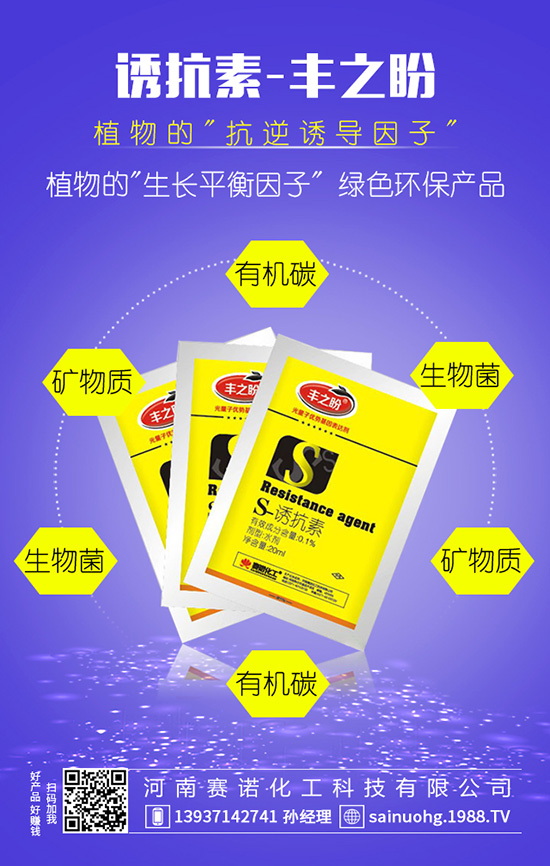 �׷ʡ����p���b�e����e�Ϯ�(d��ng)