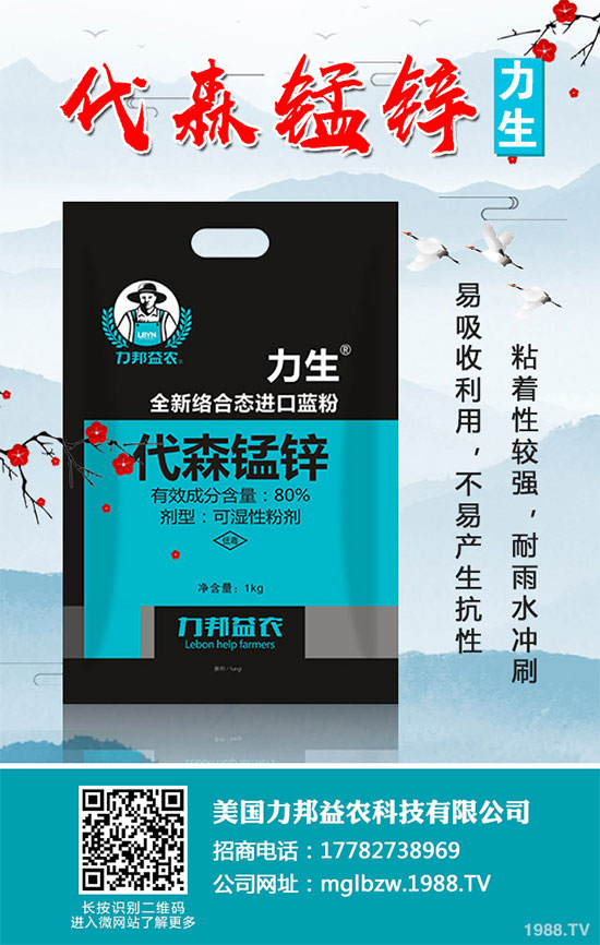     ���z��(sh��)�������r(ji��)��