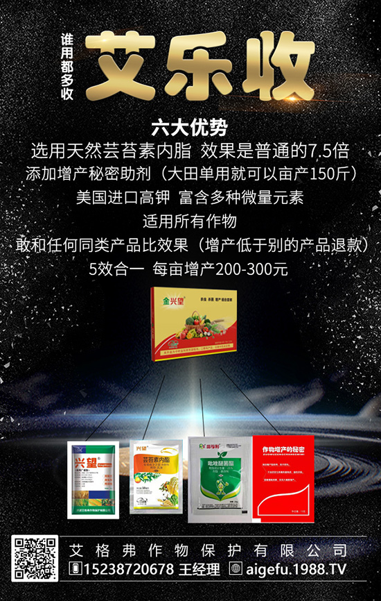 ⛷�С�������҂�һ����������