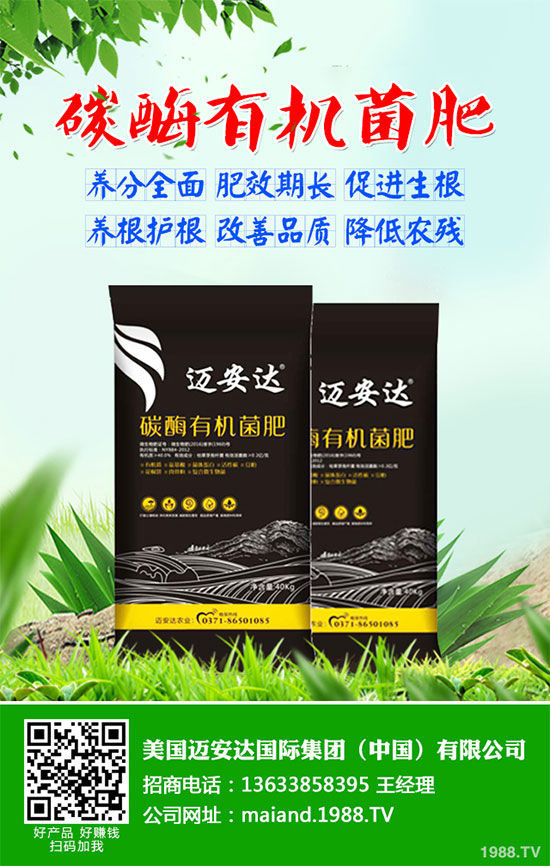 貢菊花該如何選購(gòu)?貢菊花的常見用法