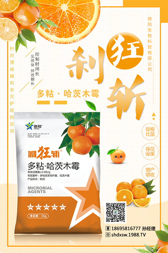 ���ٽ���ԭ�� ���ٽ�����η���