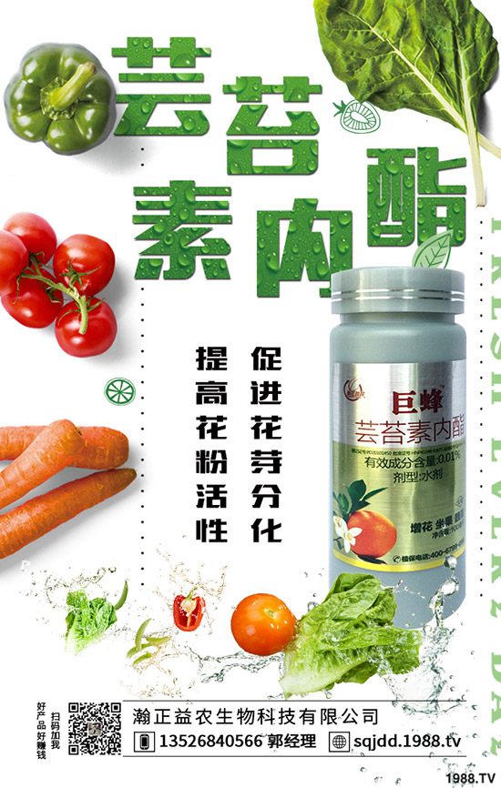 �����߲˲ɹ��ʵ�Σ���������ߴ����߲˲ɹ��ʣ�