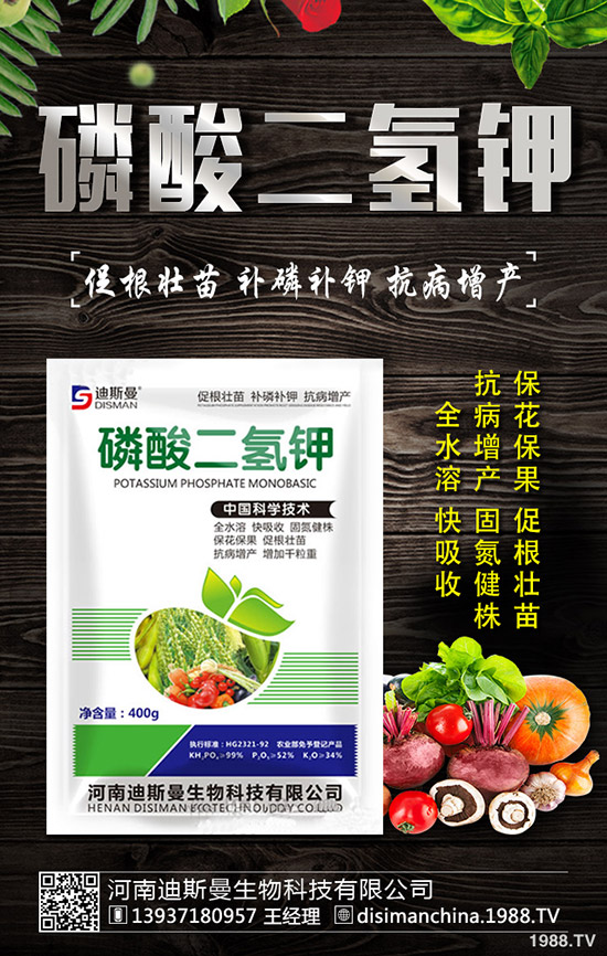 ������ô�Nֲ�������Nֲ�������ճ�����������