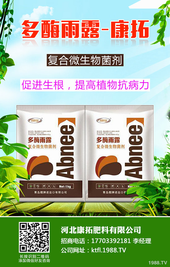 ����ÿ�������X��2019-12-20���ո������؃r���߄ݷ���