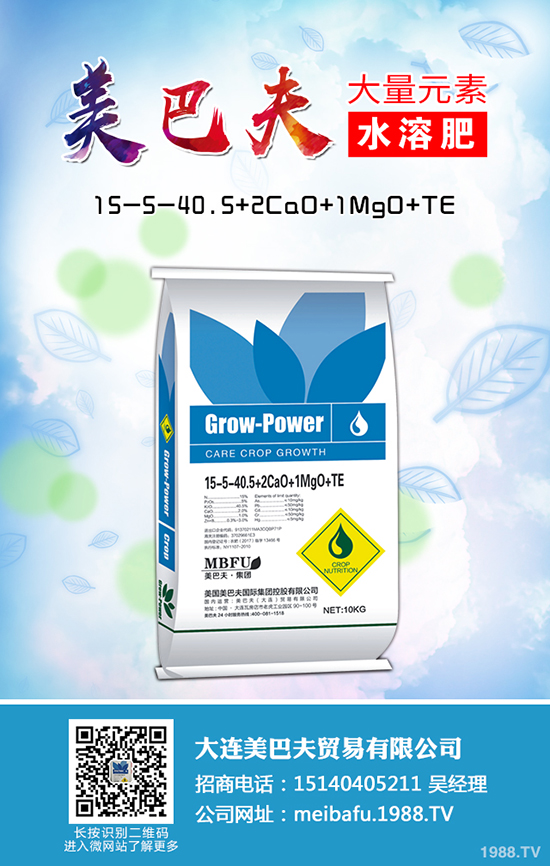 2020種植蒲公英賺錢嗎，蒲公英的種植前景和利潤怎么樣？