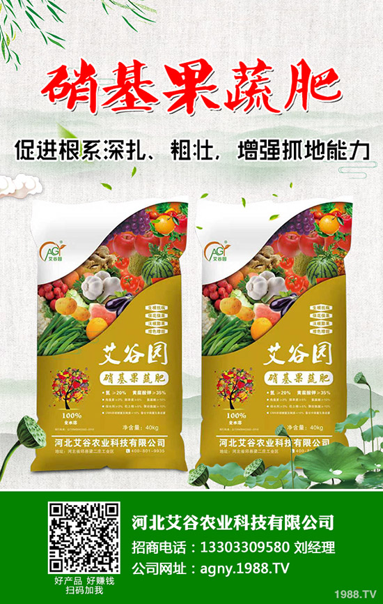     2020�괺��(ji��)���������@�Ј������޴������¶��@�r(ji��)�������߄��A(y��)�y��