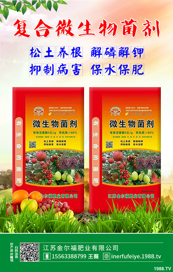     2019��12��23�����؃r(ji��)��������������ո��؅^(q��)�����������S��(b��o)�r(ji��)��