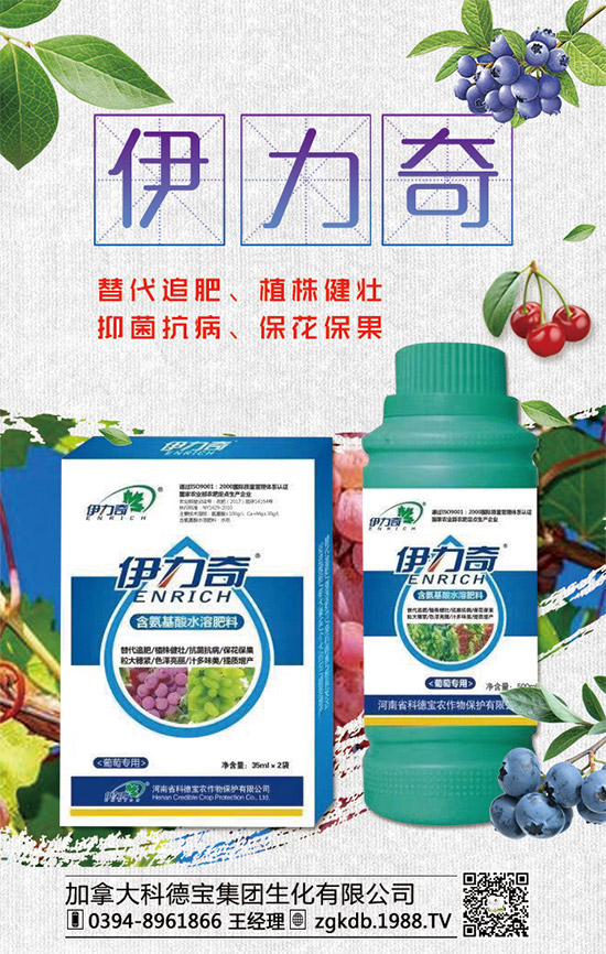 臨近年關!二銨行情是否上??!2020年二銨價格行情走勢預測!