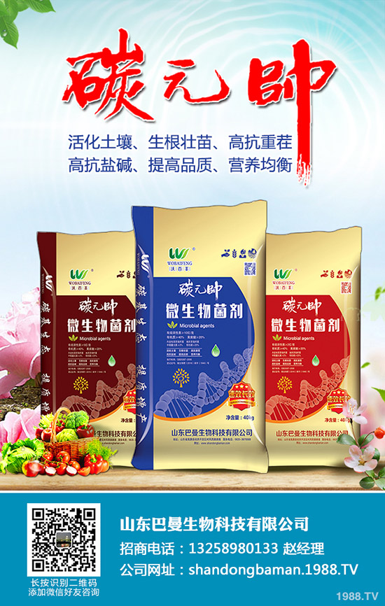     ���؃r��С����׃�ӣ�12��24�ո��؅^(q��)�����������S��r��