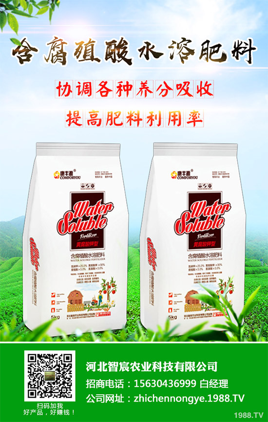 �G����ԓ��ô�N���G���˵ĸ߮a�Nֲ���g