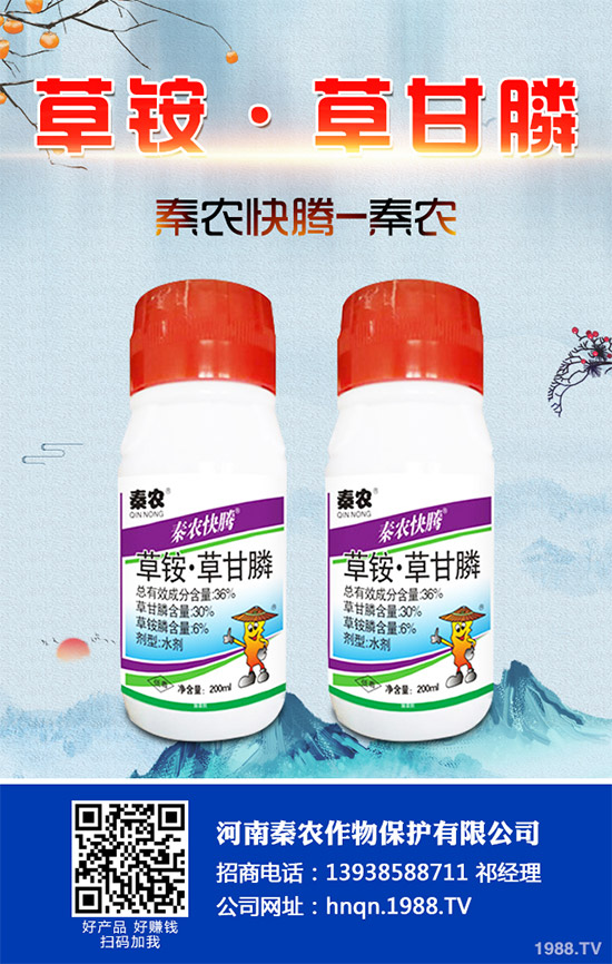 Prentiss������������(ch��ng)�s�ݳ��݄�Camp-D ��2��4-D�Ͱ��������